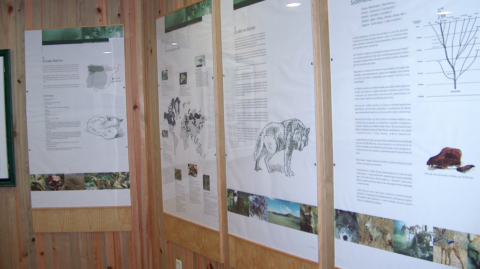 Iberian Wolf Recovery Center